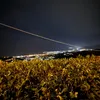 o63.gioia