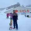 felixalexander284