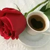 el7awrae3anida