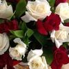 om.mohammed5497