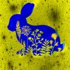 rabbitceed6