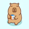 mizt_ic