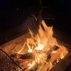 fiki_300