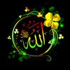 Md Alamin shiek