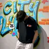 azhy245