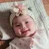 bedau.xinchao