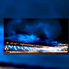 vfl_bochum__fan