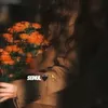 sedra..29
