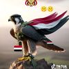 naail_711