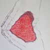 cheese_278