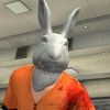 conejitoff24k