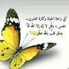 salammlilh