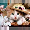 user2taykyi9ib