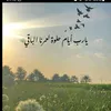 sofiasagh
