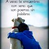 miryanmeneses783