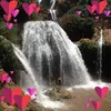 omoyounessachraf