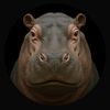 thehippowhisper2.0