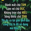 annaxuan123568