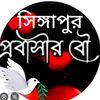ayrinsultana953