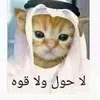 mohbatpardais
