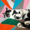 linds_knits