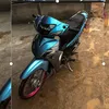 Sóc Chuột 11🐬🐉