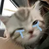 ttankhun