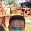 thawesak805