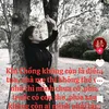 khng.khc.du.gp.bao
