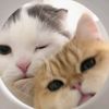 luvableblue32