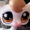 petiteciboulette