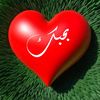 user32117490076753