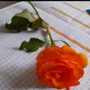 abbasraju663