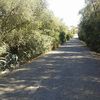 f.rd64