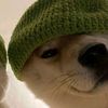 abby.https0