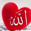 hasankamran28