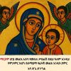 estifo218