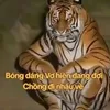 hongnamkinhluan