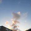 nienkeappelsientje_