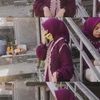 nur_ira11