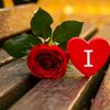 17.ilove.you.sihem