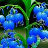 md.josim.molla141