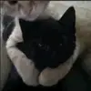 minlaylay27