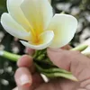 huynhvangb95
