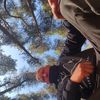evgeniy9456