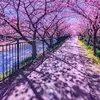 nor.rahil4