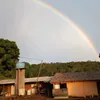 ivonetecerqueira205