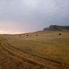 robertsranch1