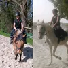 elsrainbow