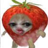 helloookiity